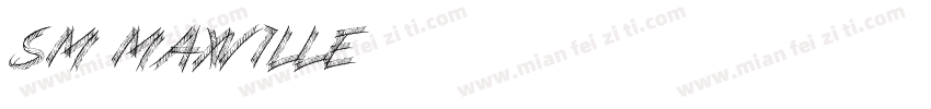 SM Maxéville字体转换